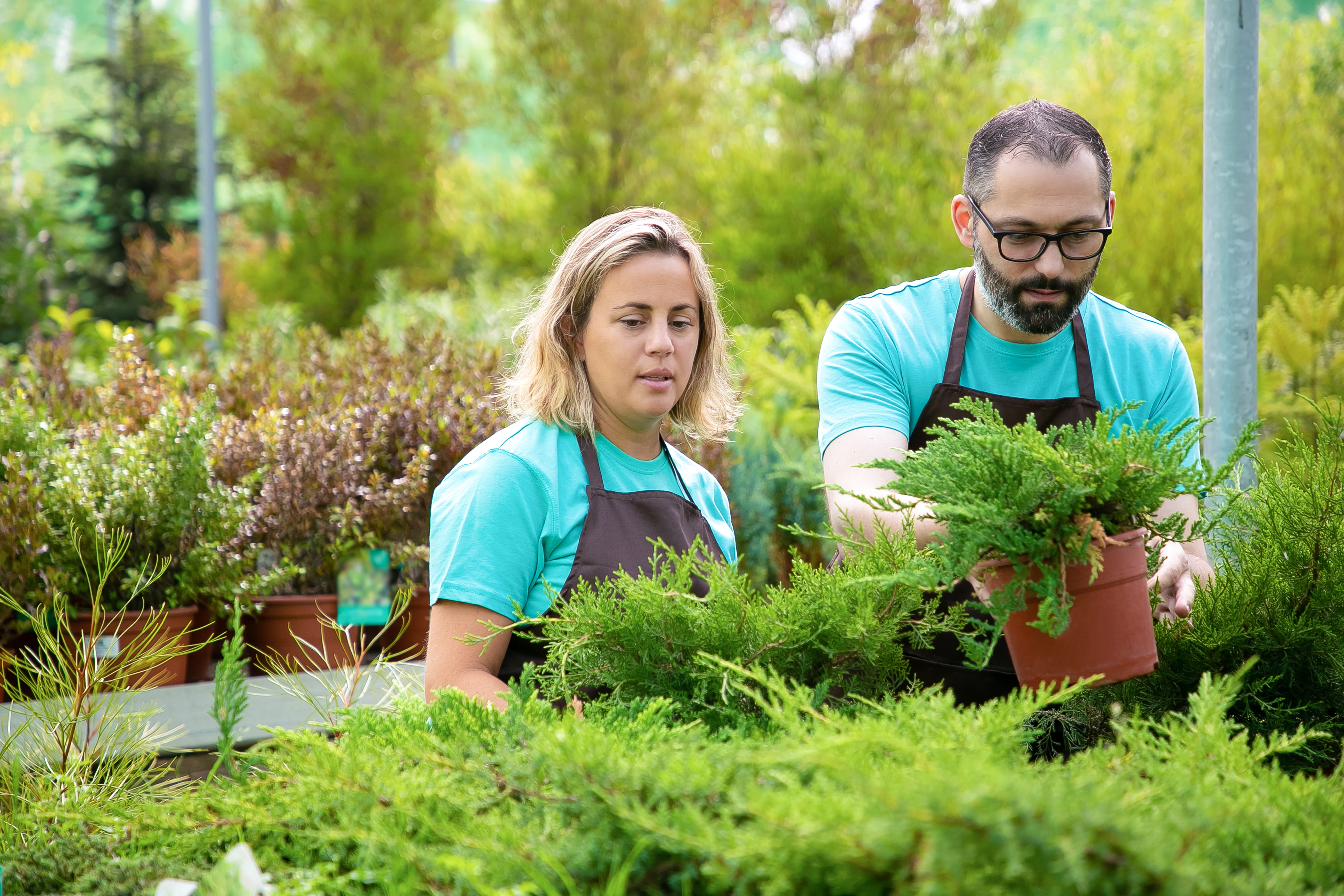 Professional landscaping project
